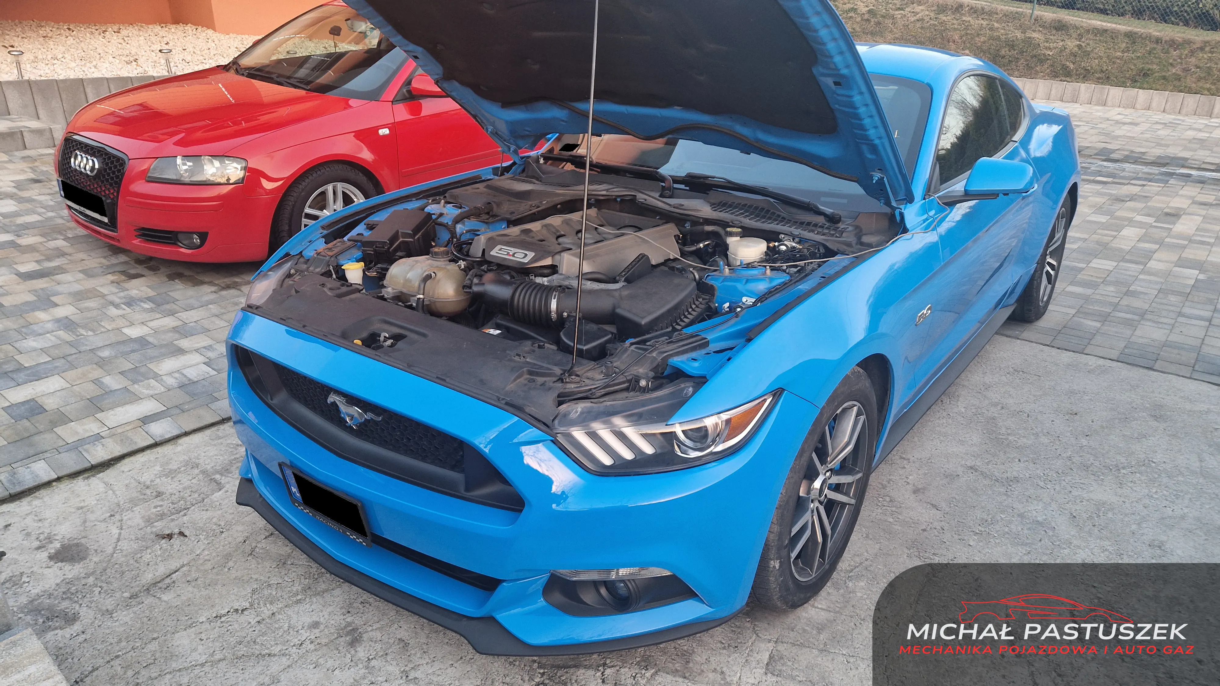Mustang 5.0 V8